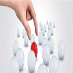 Software Solutions